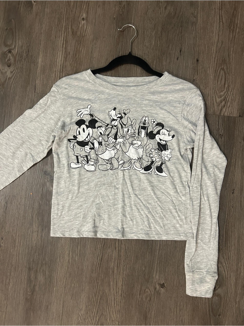 Disney Parks / Mickey & Friends Heather Grey Long Sleeve Graphic Top Crewneck